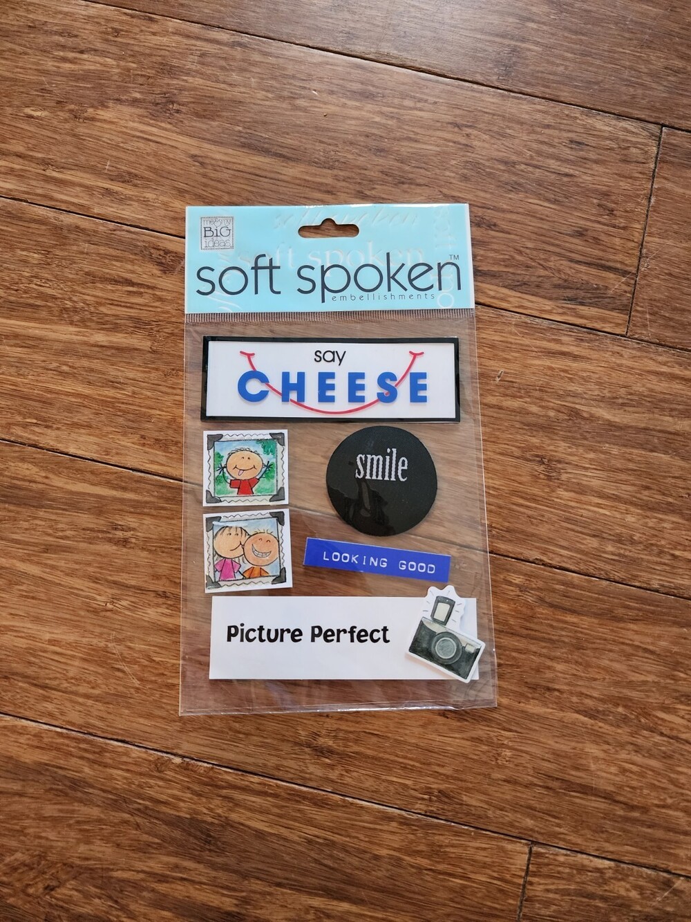 Stickers - Soft Spoken Dimensional Stickers - Me & My Big Ideas Camera NEW #17